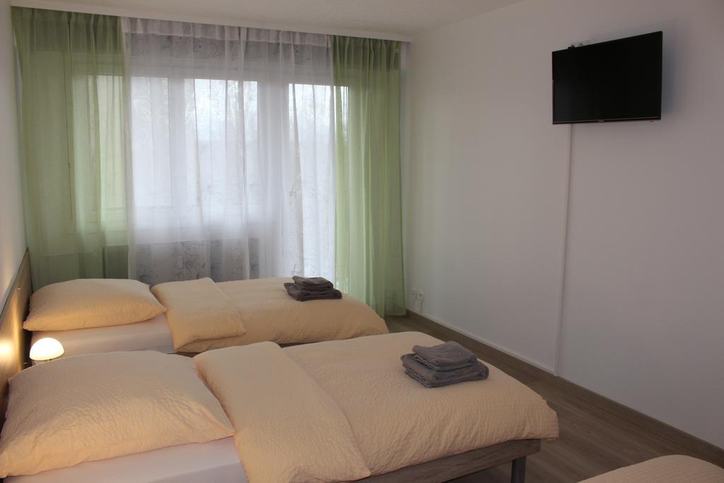 سا لووي Studios Near Basel Airport الغرفة الصورة