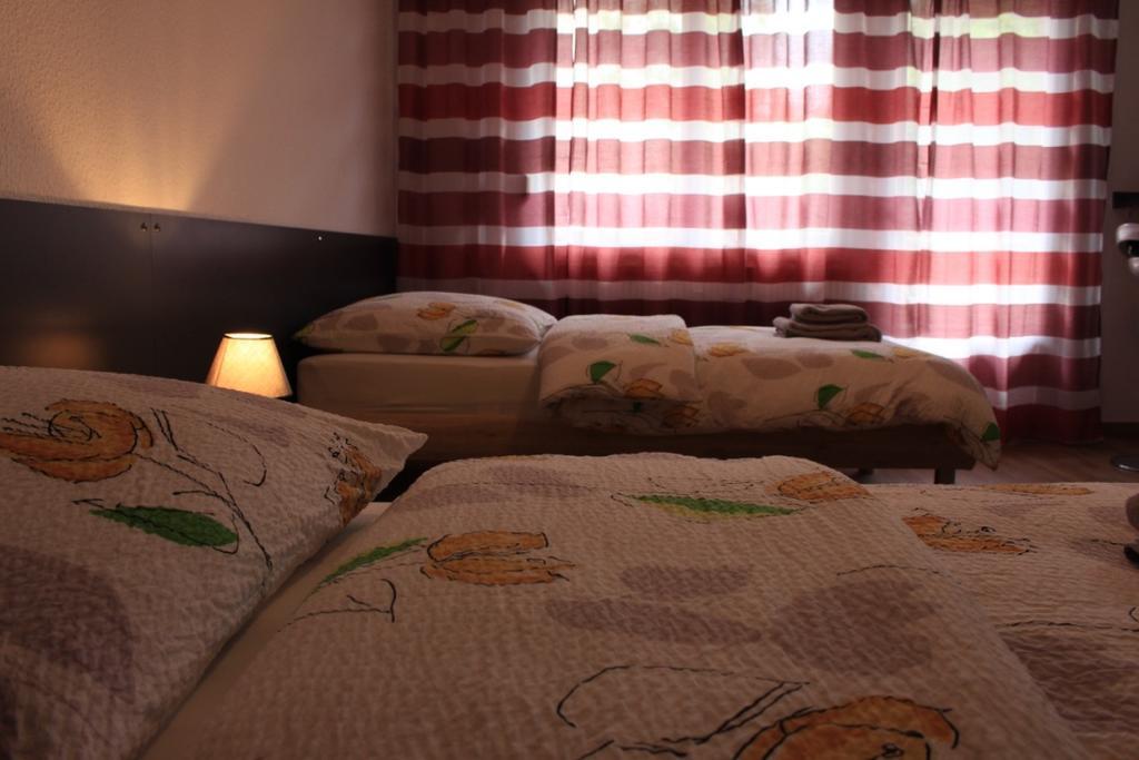 سا لووي Studios Near Basel Airport المظهر الخارجي الصورة