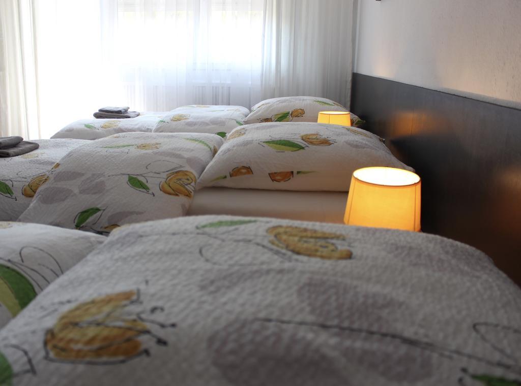 سا لووي Studios Near Basel Airport المظهر الخارجي الصورة