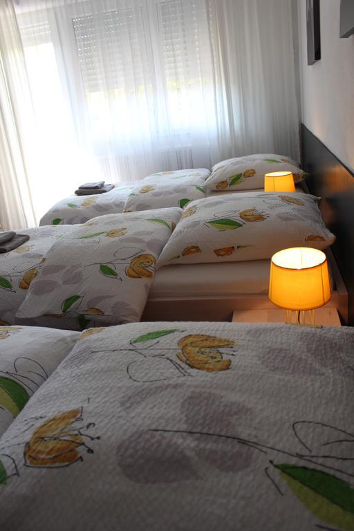 سا لووي Studios Near Basel Airport المظهر الخارجي الصورة