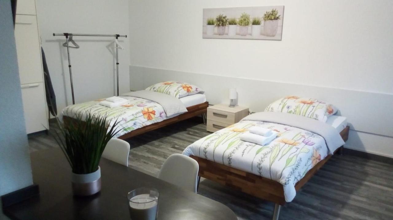 سا لووي Studios Near Basel Airport المظهر الخارجي الصورة
