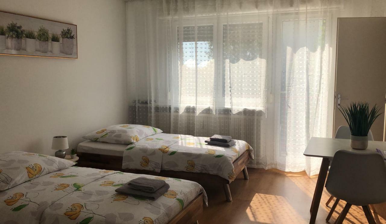سا لووي Studios Near Basel Airport المظهر الخارجي الصورة